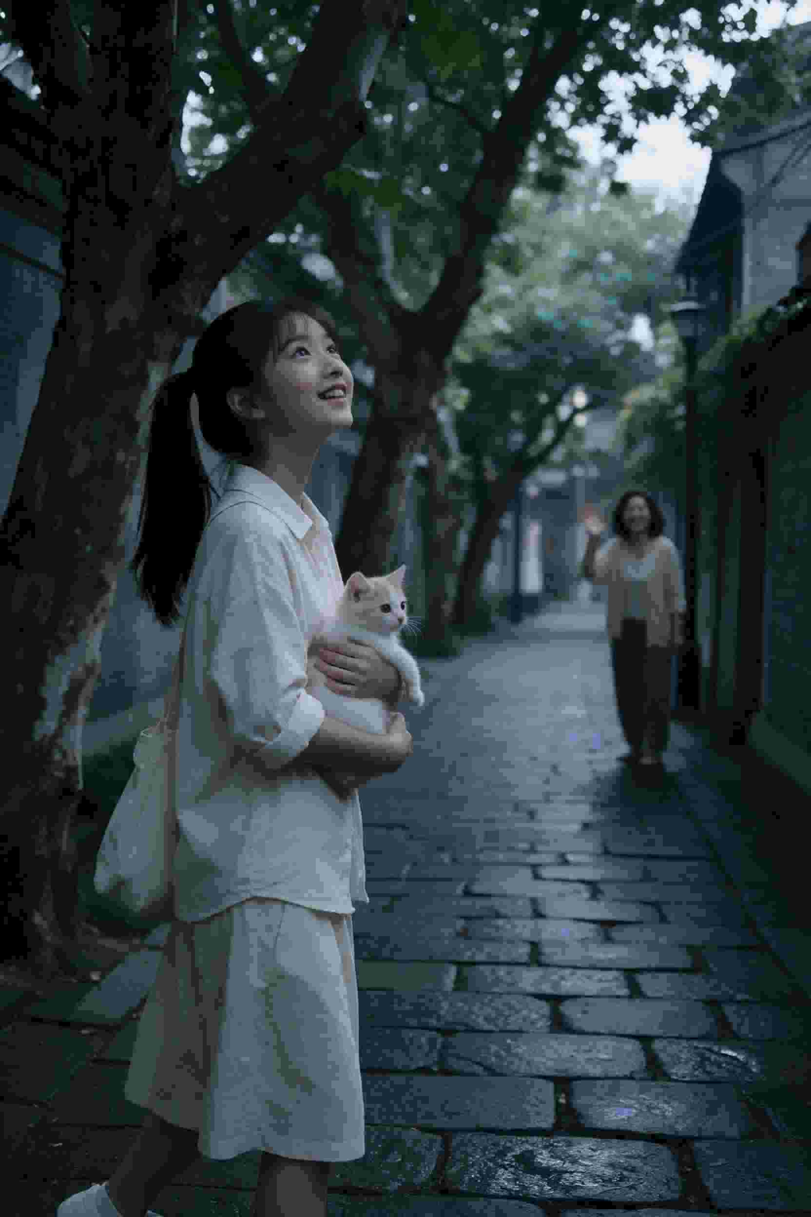 江南秘闻